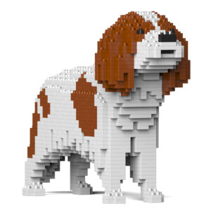 Cavalier King Charles