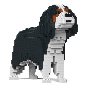 Cavalier King Charles